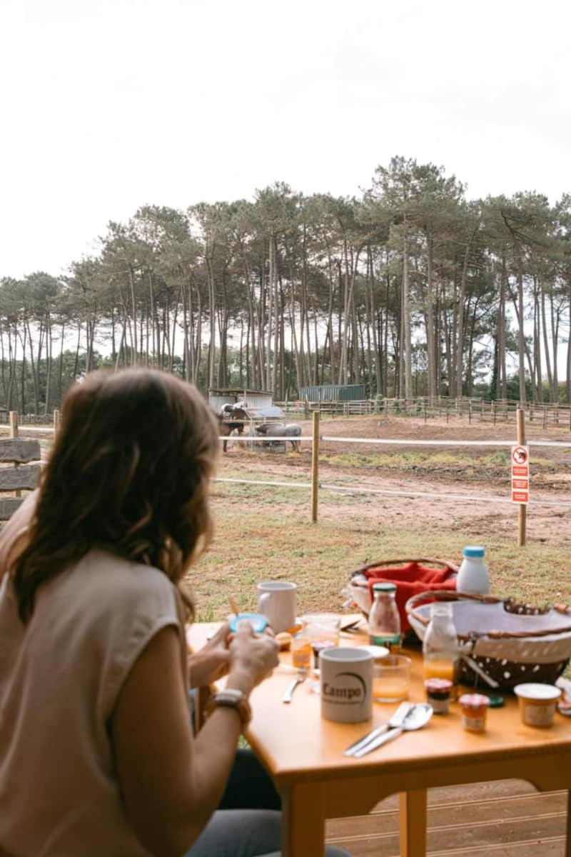 מלון Mées Roulottes Cocooning Au Coeur Des Landes מראה חיצוני תמונה